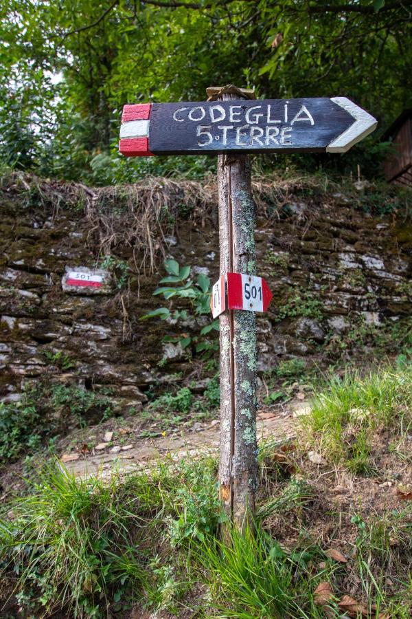 Near - Cinque Terre Holiday Apartment Ricco del Golfo di Spezia Ngoại thất bức ảnh